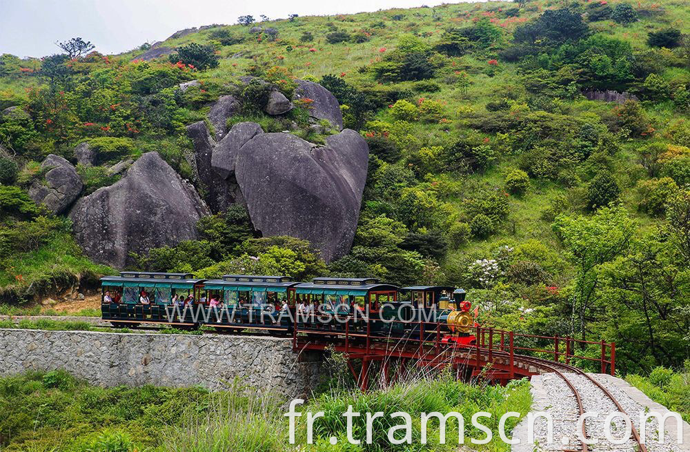 sightseeing train on mountain bridge beautiful